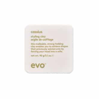 Evo Cassius Styling Clay 90g
