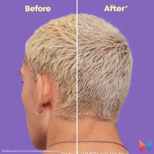 Matrix So Silver Purple Pigmented Conditioner for Blonde and Silver Hair - 300ml - Image 6